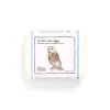 12 Barn Owl Eggs by The Chocolate Detective