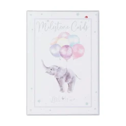 Baby Animals Milestone Cards