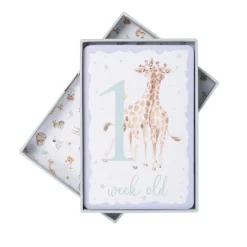 Baby Animals Milestone Cards