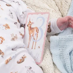 Baby Animals Milestone Cards