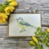 Betty the Bluetit Blank Eco-Card