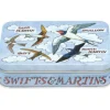 Bird Families Small Rectangular Tin