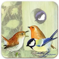 British Birds 1 Coaster