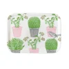 Cactus & Bird Small Tray