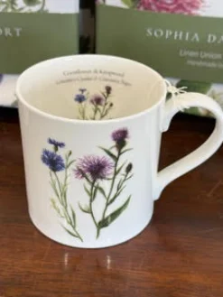 Cornflower and Knapweed Mug