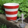 Cornishware Coronation Planter