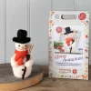 Festive Snowman Needle Felting Kit