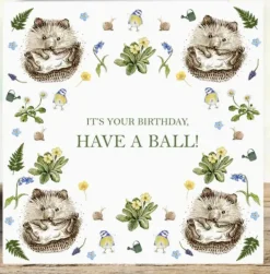 'Have A Ball' Hedgehogs Birthday Card