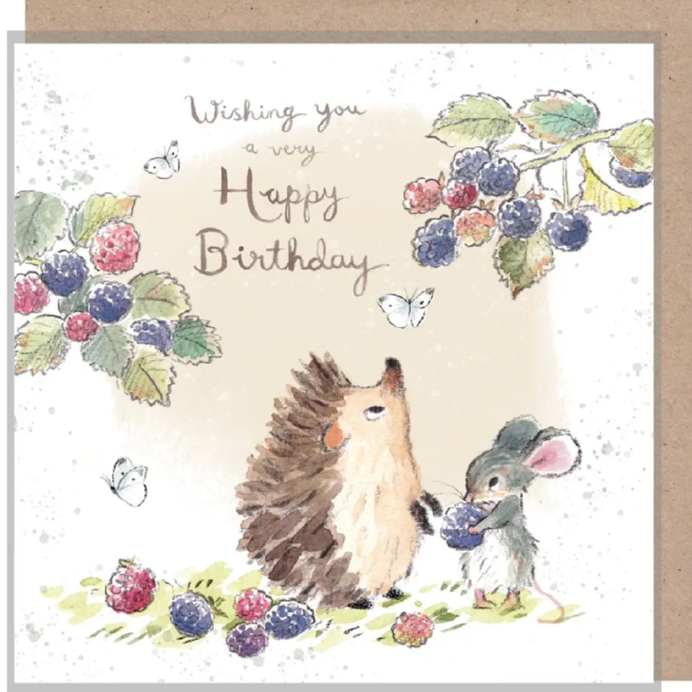 Hedgehog and Mouse with Blackberries "Wishing You" Birthday Greetings Card