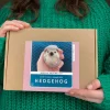 Hedgehog Needle Felting Kit