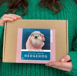 Hedgehog Needle Felting Kit