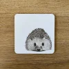 Henry Hedgehog Coaster