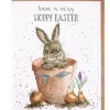 'Hoppy Easter' Rabbit Greetings Card