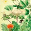 Jini's Garden Glitter Greetings Card