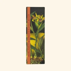Kew Gardens Bergmot &  Ginger Hand Cream