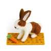 Lettuce Rabbit with Carrot Nibbles