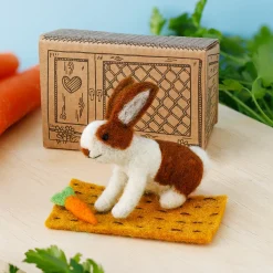 Lettuce Rabbit with Carrot Nibbles