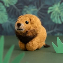 Lion Mini Felting Kit