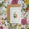 Nasturtium - 'Botanical Archive: Everyday Edition' - card