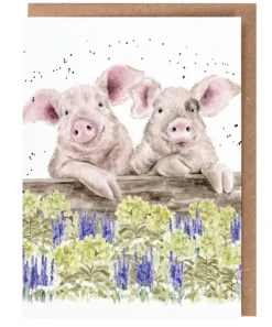 'Nosy Neigh-boars' Pig Greetings Card