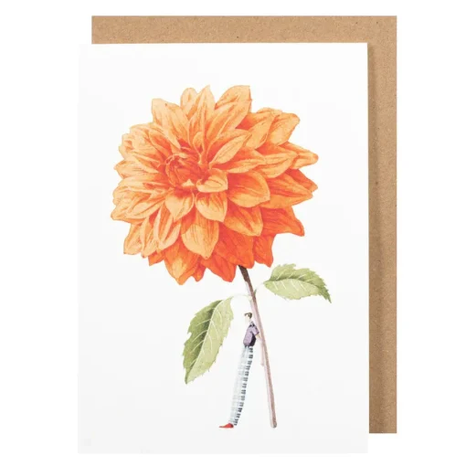 Orange Dahlia Blank Greetings Card