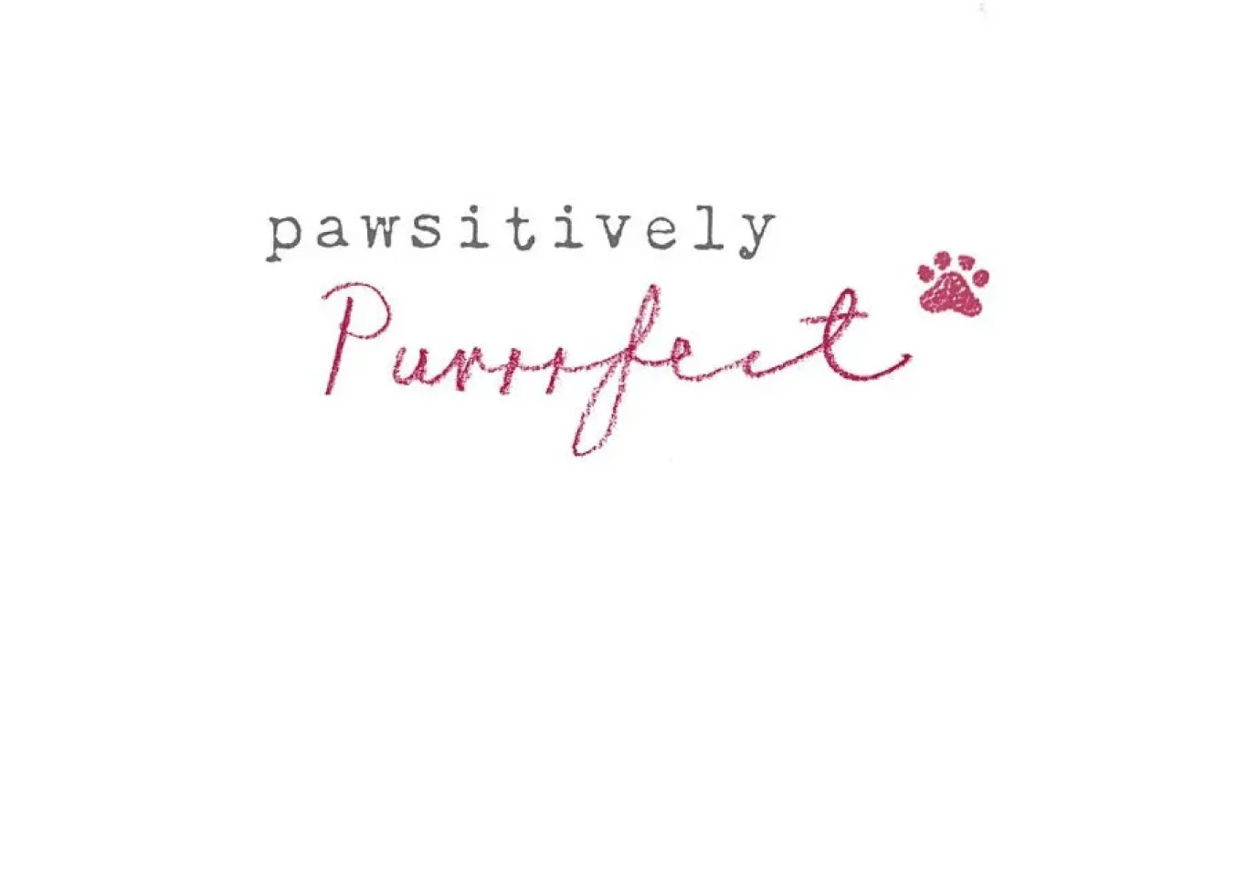 Otter "Wishing you a very Happy Birthday" Greetings Card