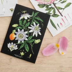 Passion Flower - Black - Greetings Card