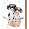 'Paws and Pedals' Dog Greetings Card