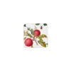 RHS Fruits Coasters - Set of 4