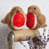 Robins Needle Felting Kit