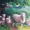Sheep In Shade 1000 Piece Jigsaw Puzzle