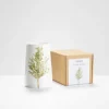Silver Birch Vase