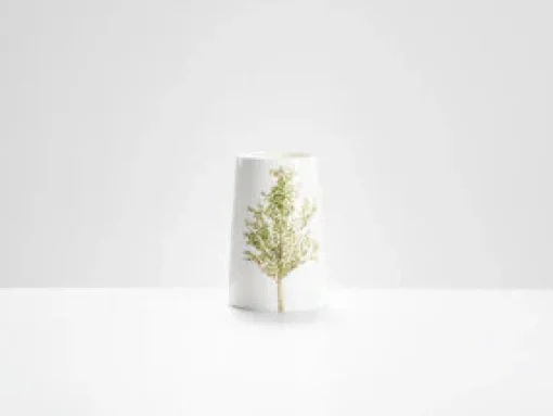 Silver Birch Vase
