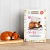 Sleepy Fox Needle Felting Kit
