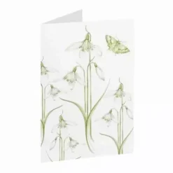 Snowdrop Little Flowers Greeting Card
