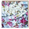 Spring Blossoms by Dan O'Brien Greetings Card