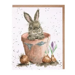 'The Flower Pot' Greetings Card