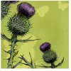 Thistle Greetings Card