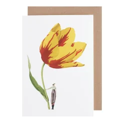 Tulip Blank Greetings Card