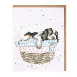 Wash, Dry, Fold, Repeat Greetings Card