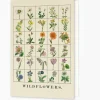 Wildflowers Greetings Card