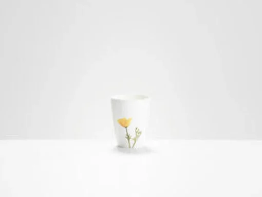 Yellow Poppy Beaker